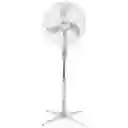 Ventilador Piso 16" Alteza