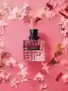 Valentino Donna Born In Roma