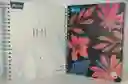 Cuaderno Argollado Grande 5 Materias Cuadriculado X-presarte Femenino 558935