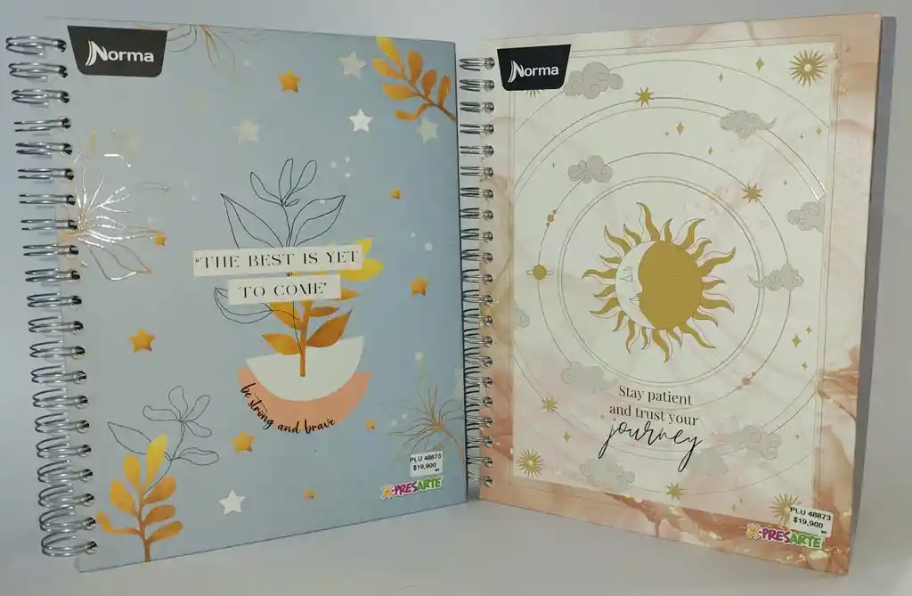 Cuaderno Argollado Grande 5 Materias Cuadriculado X-presarte Femenino 558935