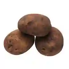 Papa Pastusa