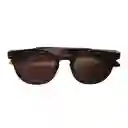Gafas De Sol Invicta Pro Diver I 12821-pro-05 Color Habana Talla 49mm