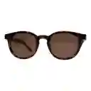 Gafas De Sol Invicta Pro Diver I 12821-pro-05 Color Habana Talla 49mm