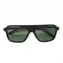 Gafas De Sol Invicta Rally I 16009-s1r-01-g15 Color Habana Talla 54mm
