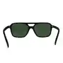 Gafas De Sol Invicta Rally I 16009-s1r-01-g15 Color Habana Talla 54mm