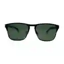 Gafas De Sol Invicta Aviator I 22970-avi-06-p95 Color Azul Talla 55mm