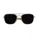 Gafas De Sol Invicta Aviator I 39272-avi-09-g15 Color Negro Talla 51mm