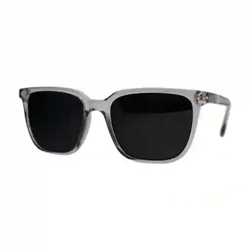 Gafas De Sol Invicta Angel I 40031-ang-t11-p03 Color Gris Talla 52mm