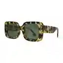 Gafas De Sol Invicta Objet D Art I 30462-obj-60-g15 Color Habana Talla 51mm