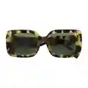 Gafas De Sol Invicta Objet D Art I 30462-obj-60-g15 Color Habana Talla 51mm
