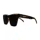 Gafas De Sol Invicta Wildflower I 37277-wil-40-g03 Color Habana Talla 53mm
