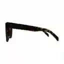 Gafas De Sol Invicta Wildflower I 37277-wil-40-g03 Color Habana Talla 53mm