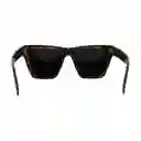 Gafas De Sol Invicta Wildflower I 37277-wil-40-g03 Color Habana Talla 53mm