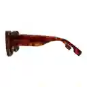 Gafas De Sol Invicta Objet D Art I 30462-obj-40-g15 Color Habana Talla 51mm