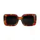 Gafas De Sol Invicta Objet D Art I 30462-obj-40-g15 Color Habana Talla 51mm