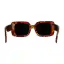 Gafas De Sol Invicta Objet D Art I 30462-obj-40-g15 Color Habana Talla 51mm