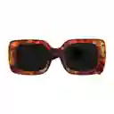 Gafas De Sol Invicta Objet D Art I 30462-obj-40-g15 Color Habana Talla 51mm