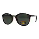 Gafas De Sol Fossil Outlook X80032 Color Habana Talla 49mm