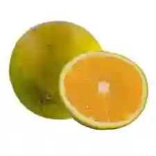 Naranja Valencia