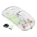 Mouse Inalámbrico Jertech Wb130 Transparente