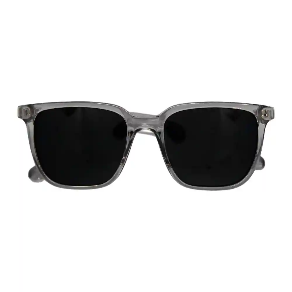 Gafas De Sol Invicta Angel I 40031-ang-t11-p03 Color Gris Talla 52mm