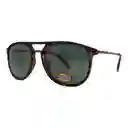Gafas De Sol Fossil Outlook X80025 Color Habana Talla 57mm