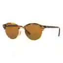 Gafas De Sol Ray Ban Clubround Rb4246 1160 Color Marron Talla 51mm