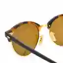 Gafas De Sol Ray Ban Clubround Rb4246 1160 Color Marron Talla 51mm