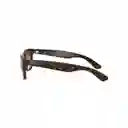 Gafas De Sol Ray Ban New Wayfarer Rb2132 710/51 Color Marron Talla 55mm