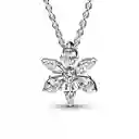 Collar De Cadena Pandora Herbario Brillante 392387c01 Plata 925 - 45cm