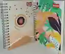 Cuaderno Argollado Durabook 95-7-2 Femenino Scribe