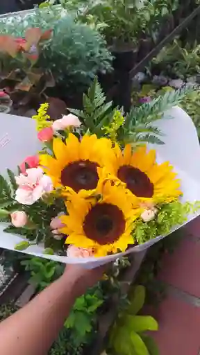 Bouquet Surtidos Girasoles Y Clavellinas - Alegría Radiante