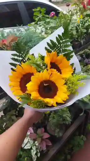 Bouquet 3 Girasoles - Sol En Tus Manos