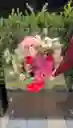 Susurro Rosado Arreglo Floral Sorpresa