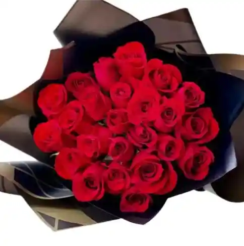 Buchón Elegante Con Rosas 🌹