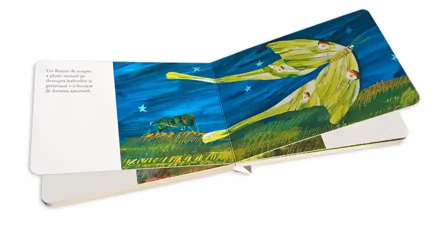 Libro El Grillo Silencioso De Eric Carle Para Niños