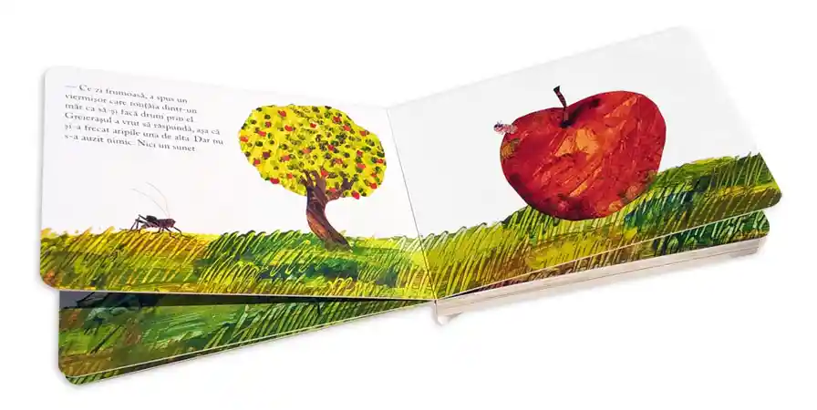 Libro El Grillo Silencioso De Eric Carle Para Niños