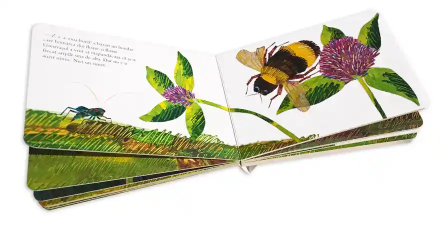 Libro El Grillo Silencioso De Eric Carle Para Niños