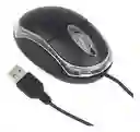 Mouse Raton M36