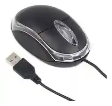 Mouse Raton M36