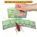 Polvo Mata Cucarachas 50 Sobres