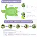 Tapete Sensorial De Agua Para Bebes De Tortuga Azul