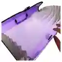 Carpeta 13 Bolsillos Offiesco Oe-456 Maletin Morado