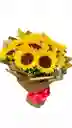 Luz De Sol – Ramo De Girasoles