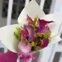 Flores Clas X 10 Und