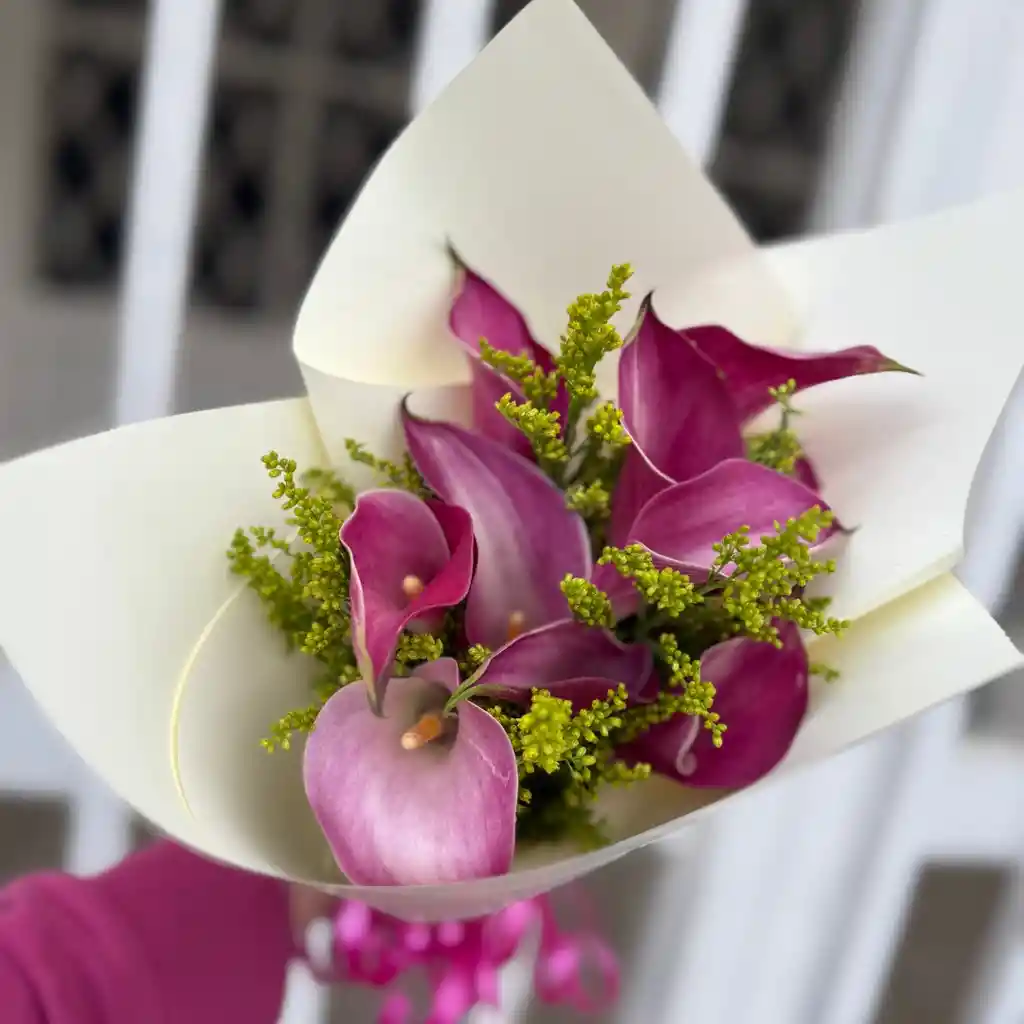 Flores Clas X 10 Und