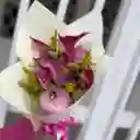Flores Clas X 10 Und