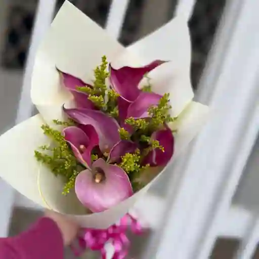 Flores Clas X 10 Und