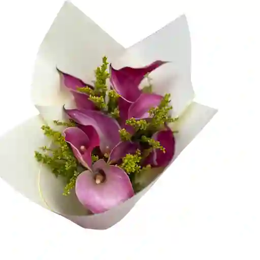 Callas Flores Por 10 Unid