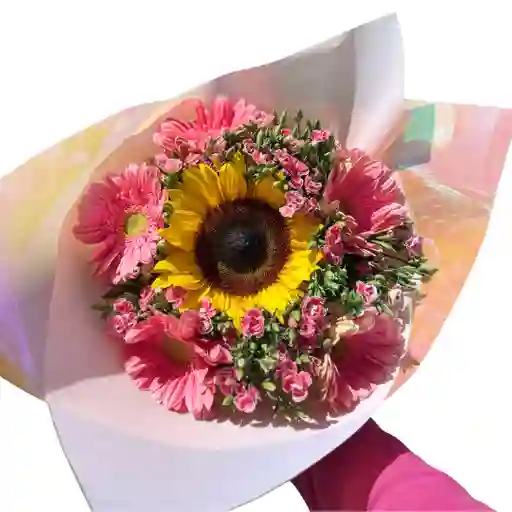 Flores De Girasol Y Gerberas